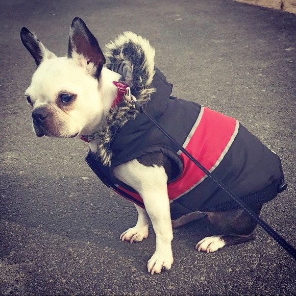 Meet your Posher, Jessica Mae π - Picture 4 of 7